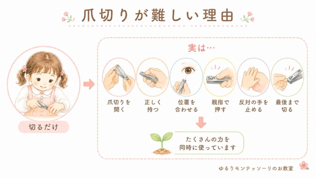 爪切りに必要な力をまとめたイラスト