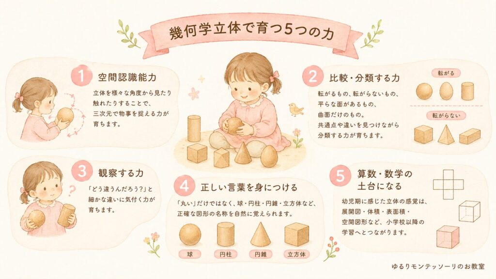 幾何学立体で育つ5つの力を表したイラスト