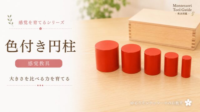モンテッソーリ教育の「色つき円柱」とは？見る力・比較する力・論理的思考を育てる感覚教具