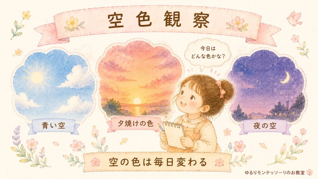 色板と空色観察