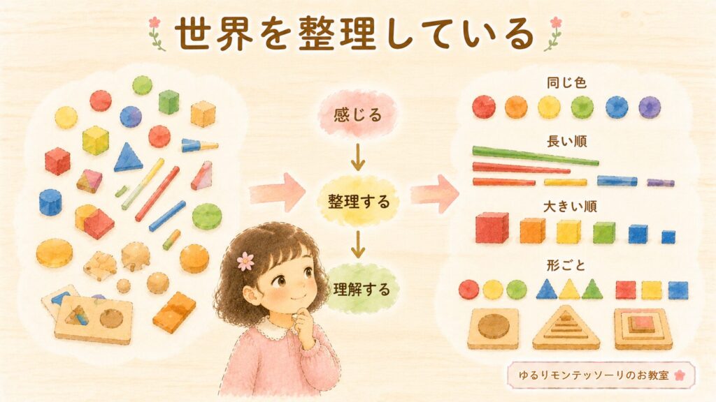 色や形、大きさなどを整理しながら世界を理解する子どものイラスト