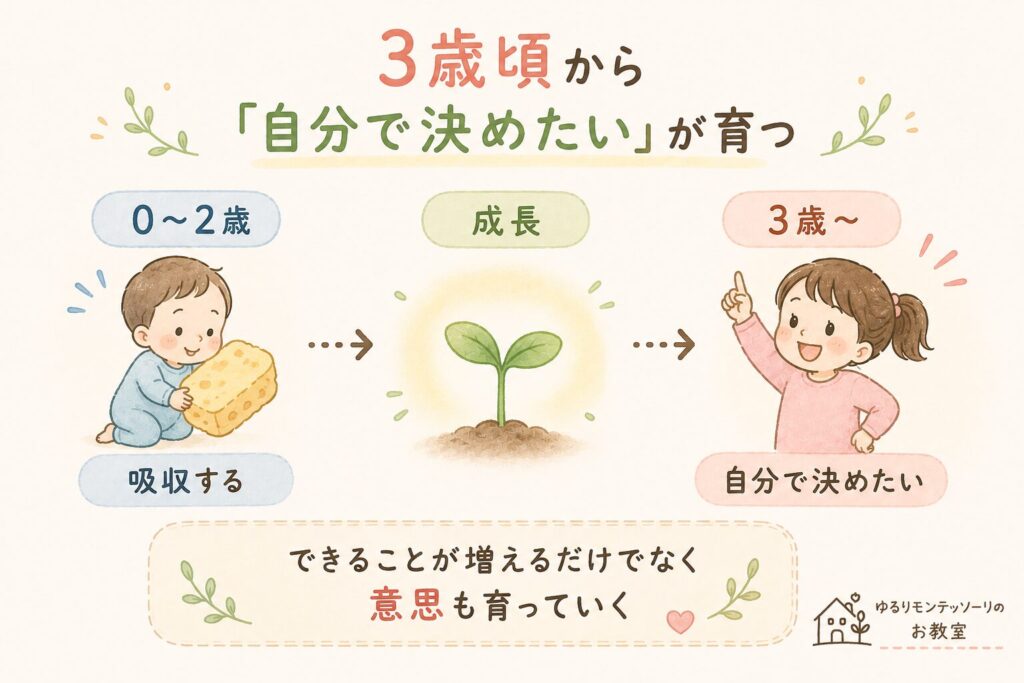 0〜2歳の吸収する時期から、3歳以降の「自分で決めたい」気持ちが育つ様子を表したイラスト。