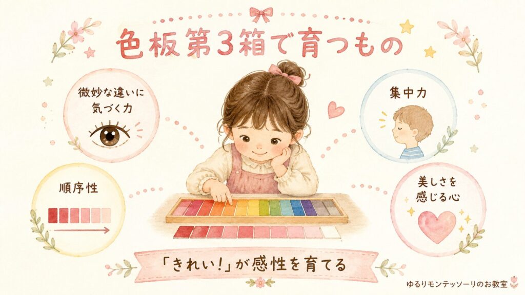 モンテッソーリの色板第3箱で育つ力を表したイラスト。微妙な違いに気づく力、順序性、集中力、美しさを感じる心を育てる。