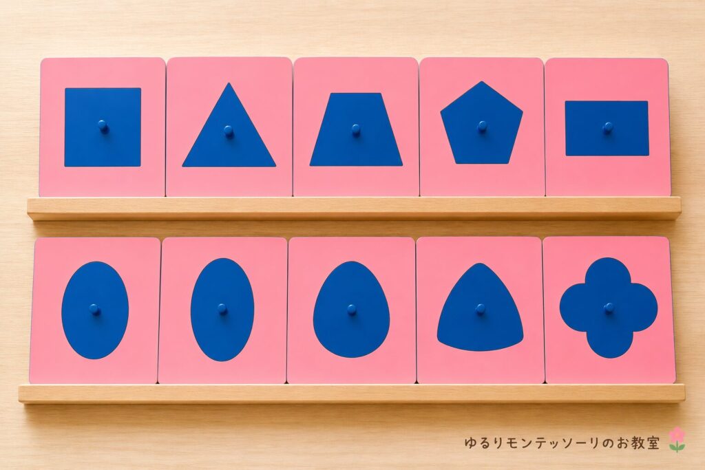 メタルインセッツの教具の画像