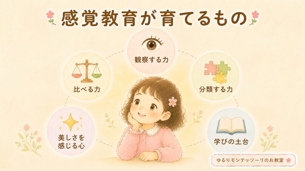 感覚教育で育つ観察力や分類する力を表したイラスト