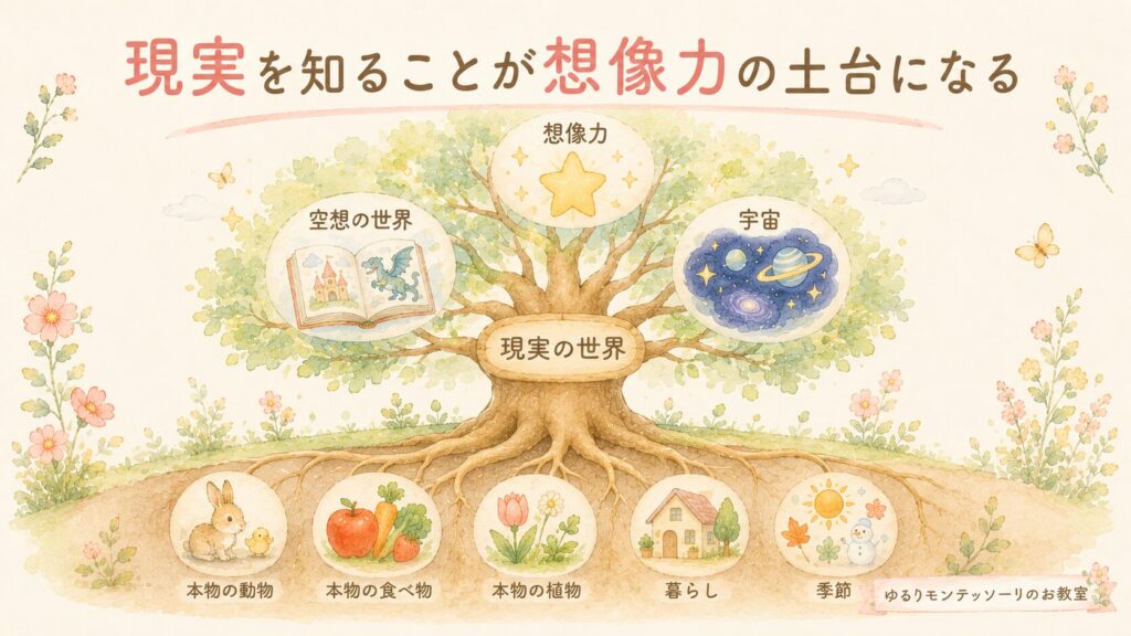 現実の世界が想像力の土台になることを表した木のイラスト