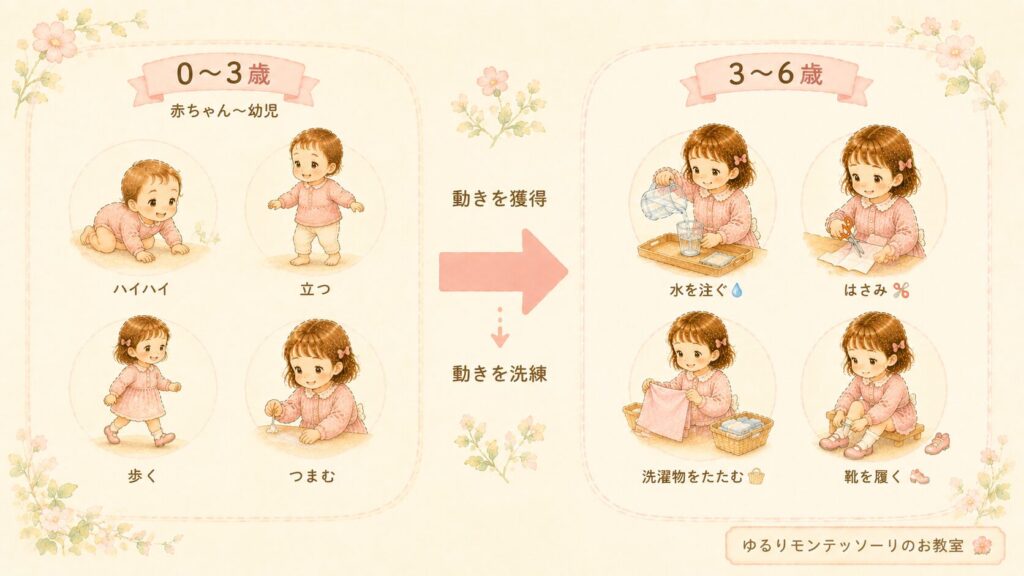0〜3歳は動きを獲得し、3〜6歳は動きを洗練させていく様子を表したイラスト