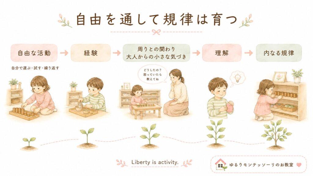 自由を通して規律が育つことを表したイラスト
