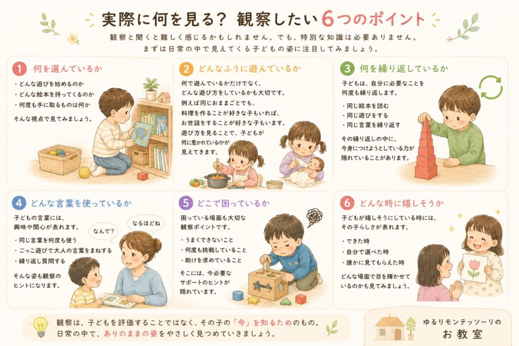 観察したい6つのポイント