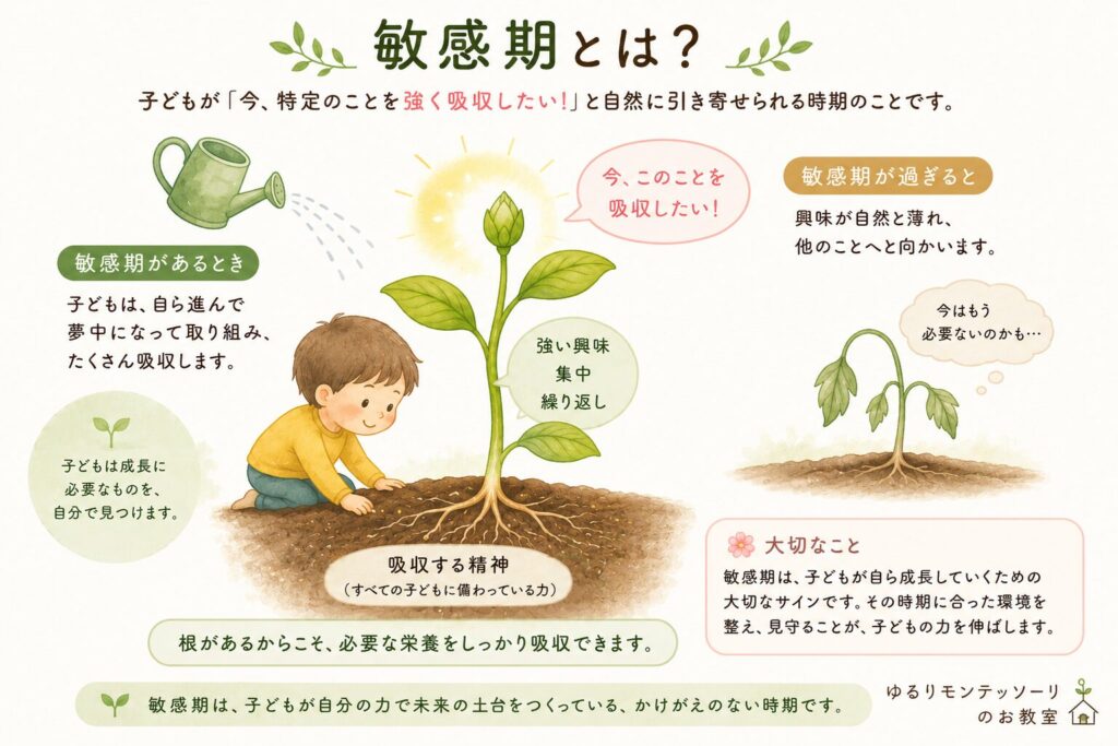 敏感期とは?