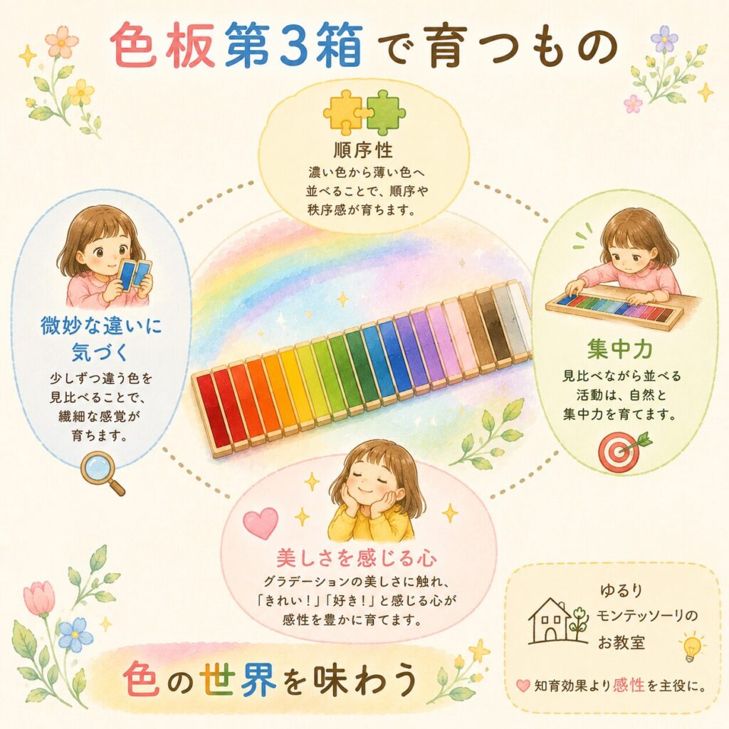 色板で育つもの