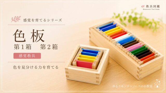 色板　第1箱　第2箱
