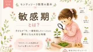 敏感期とは