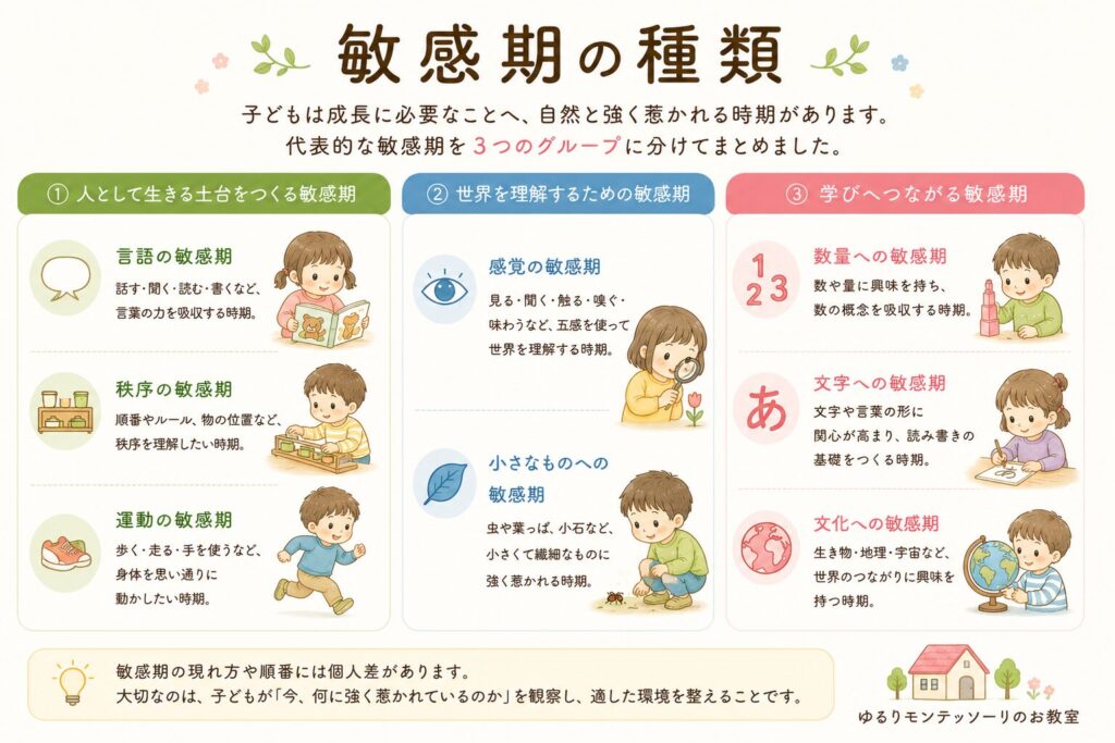 敏感期の種類