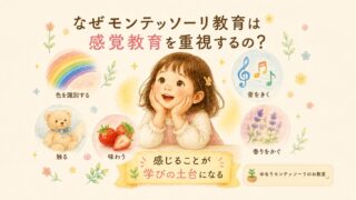 モンテッソーリ教育における感覚教育の重要性を表したイラスト