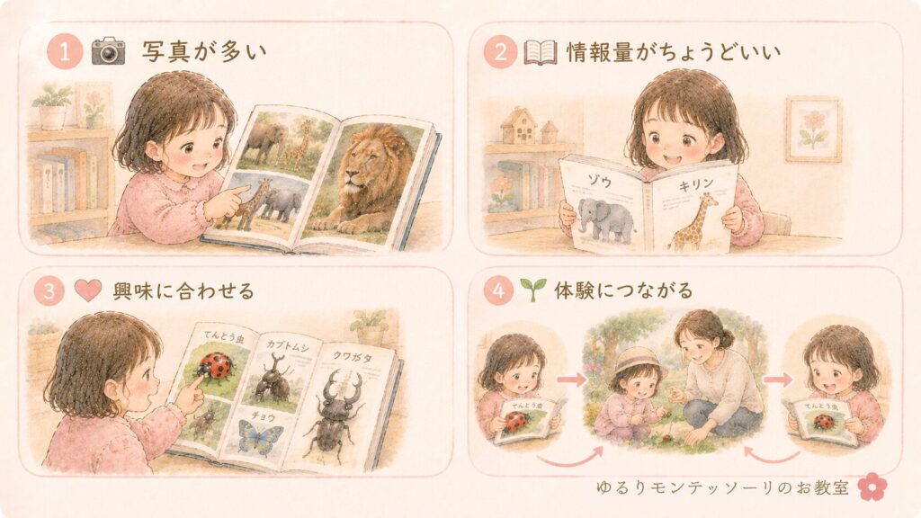 写真や情報量など図鑑選びのポイント