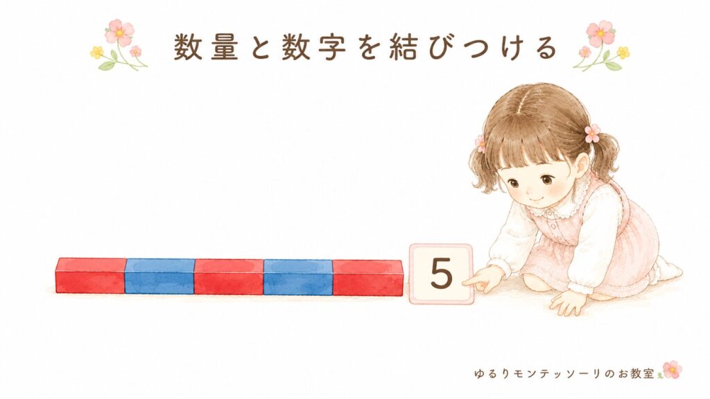 数棒と数字カードを対応させる活動