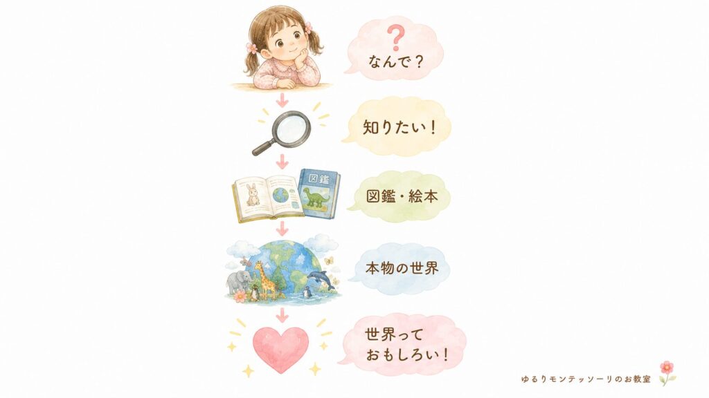 教具や図鑑から本物の体験へつながる親子