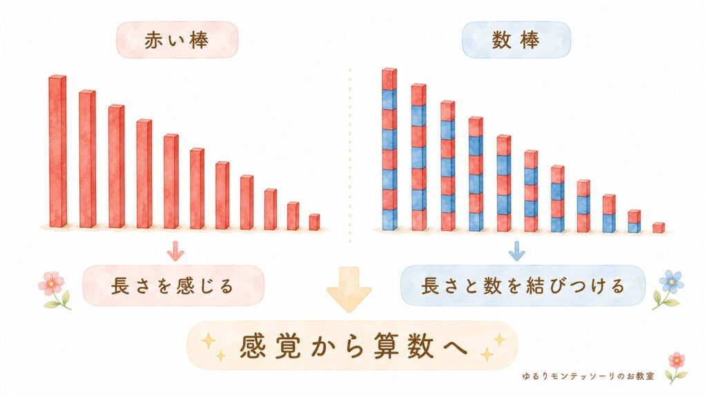赤い棒と数棒の違いを比較した図