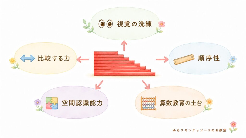 赤い棒で育つ5つの力