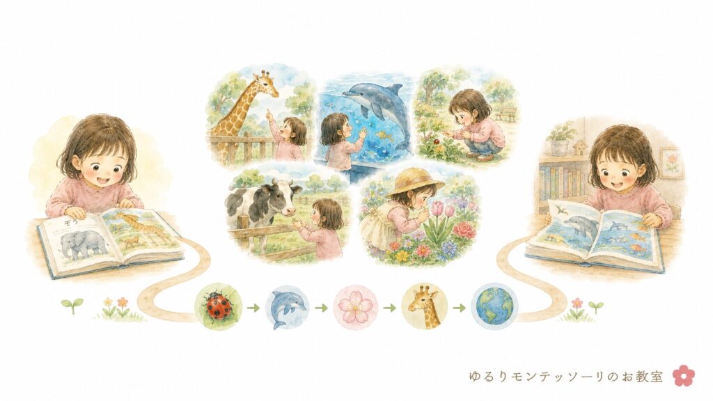 図鑑は子どもの知りたい気持ちを育てる