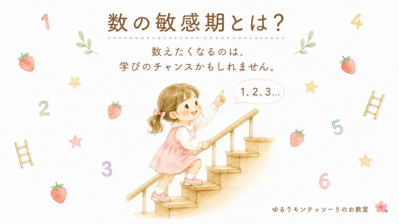 数の敏感期を紹介するアイキャッチ