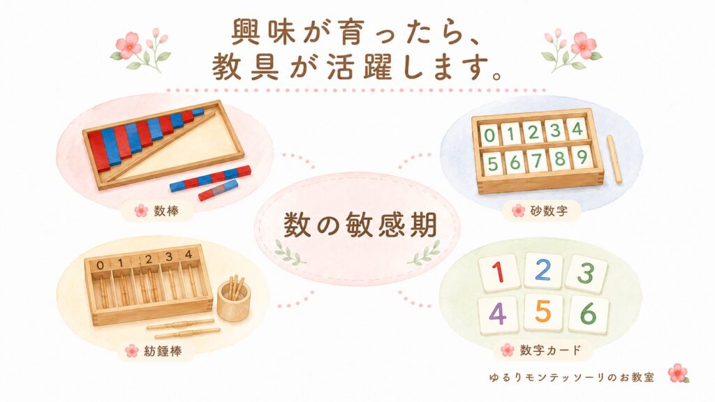 数棒や砂数字などの算数教具