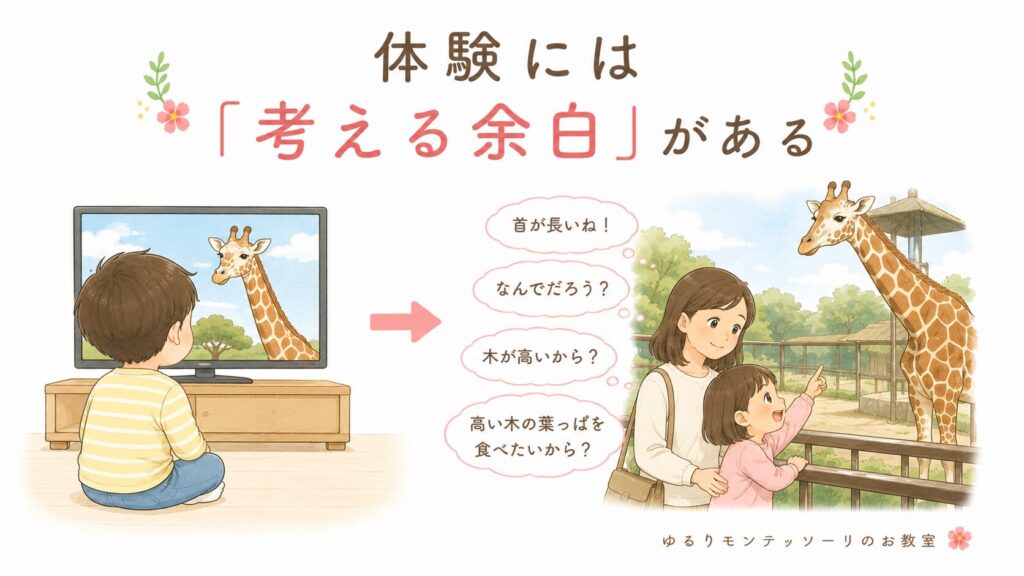 体験が子どもの思考力を育てる