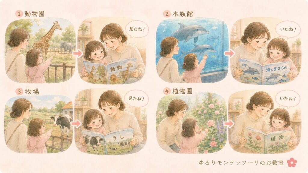動物園や水族館の体験を図鑑で振り返る親子