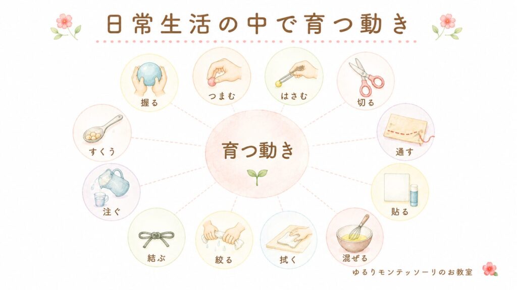 モンテッソーリ教育の日常生活の練習で育つ動き
