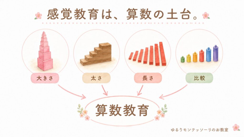 感覚教具から算数教育へつながる流れを表した図