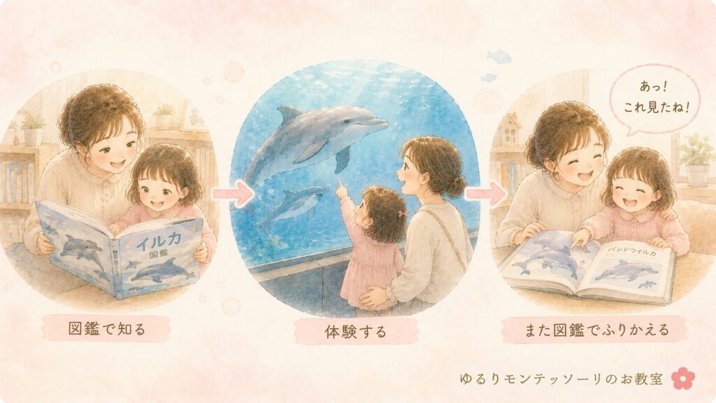図鑑と水族館の体験をつなげる親子