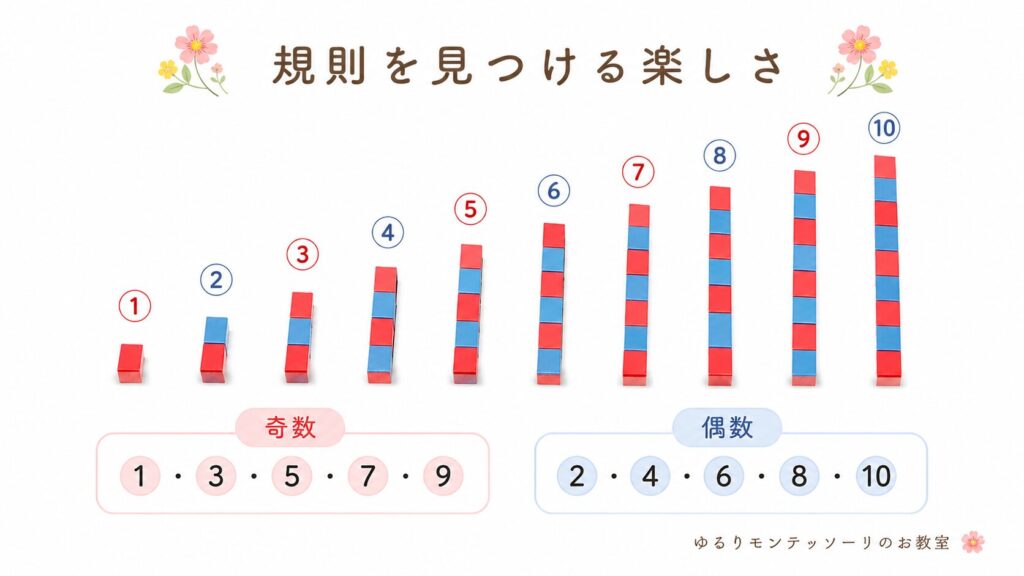 数棒で奇数と偶数の規則を見つける活動