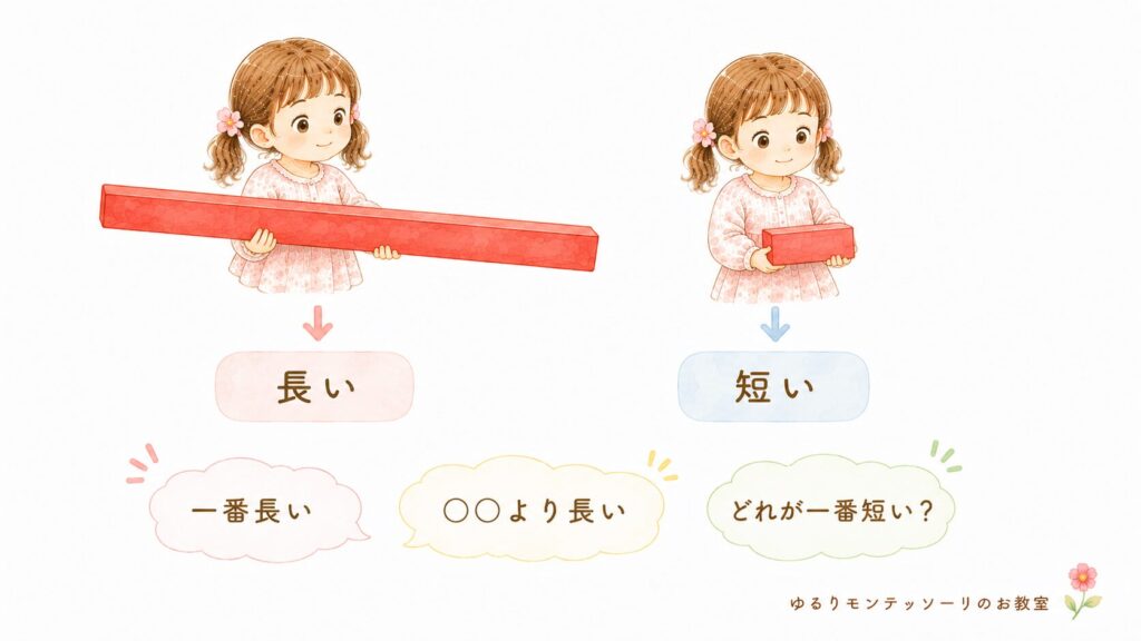 赤い棒で「長い」「短い」を学ぶ三段階の名称法