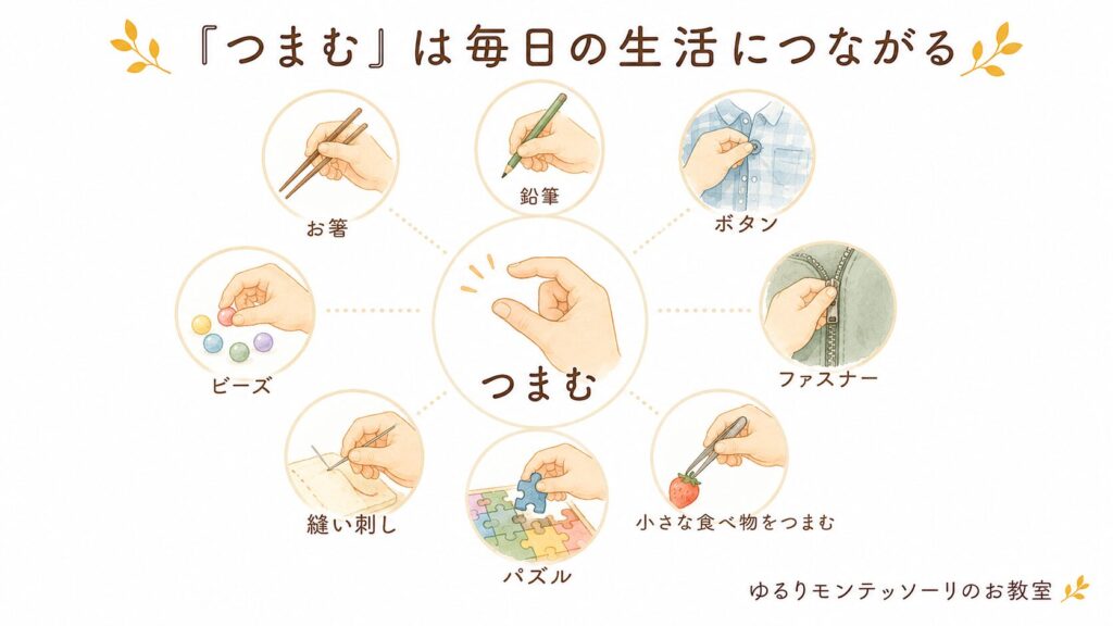 つまむ動きが生活につながるイメージ図