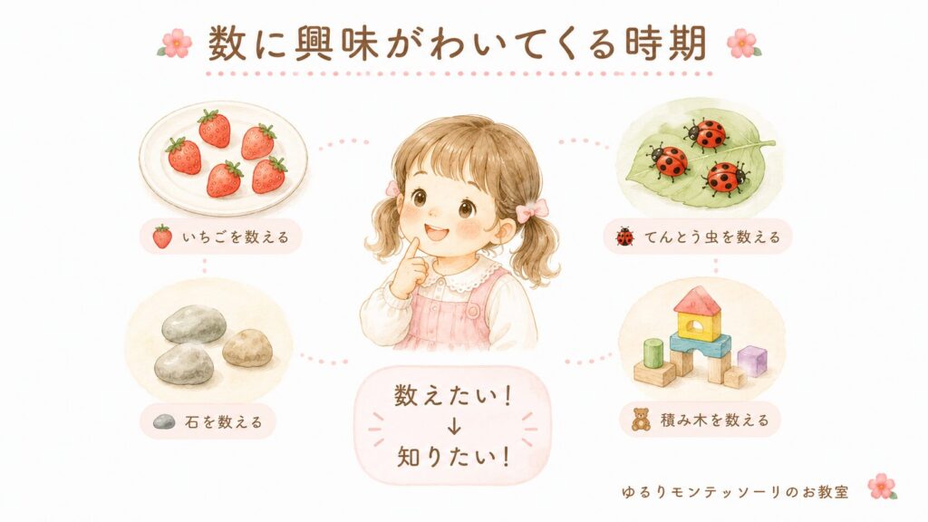 子どもが身近な物を数えている様子