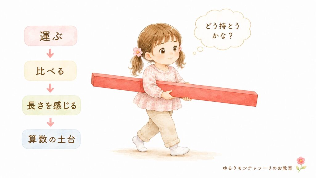 赤い棒を運びながら長さを体で感じる子ども